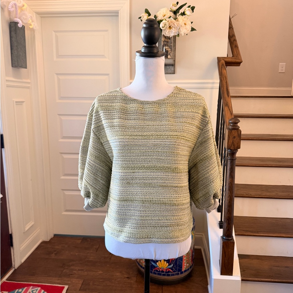 Anthropologie Eri + Ali NWOT Embroidered Striped Green Blouse w/ Balloon Sleeves